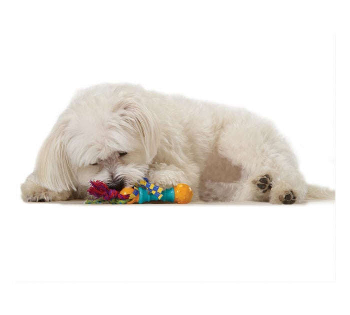 Mini Dental Chew Pack