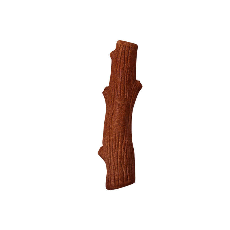 Dogwood Mesquite