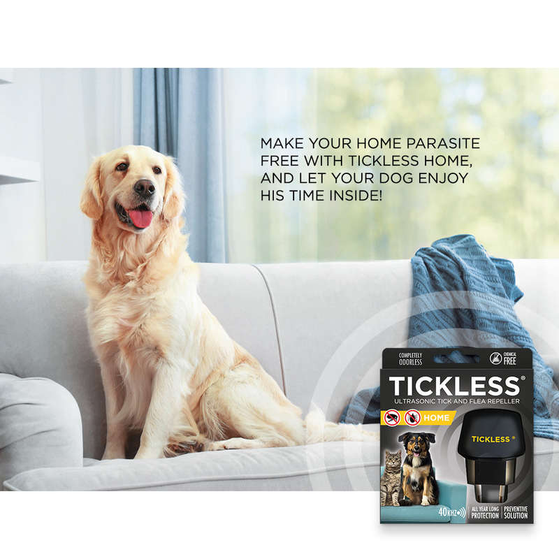 Tickless Home