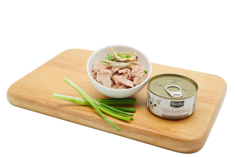 Kit Cat Canned Food Aspic/Toppers Bulk Deal (80g x 24 tins)