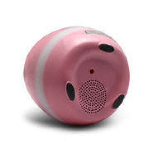 Polaroid Flowerpot Induction Speaker