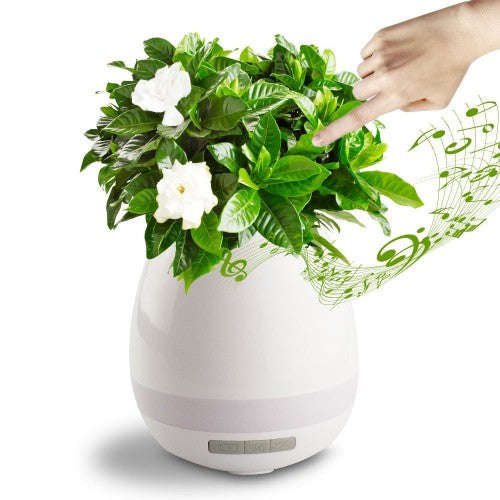 Polaroid Flowerpot Induction Speaker