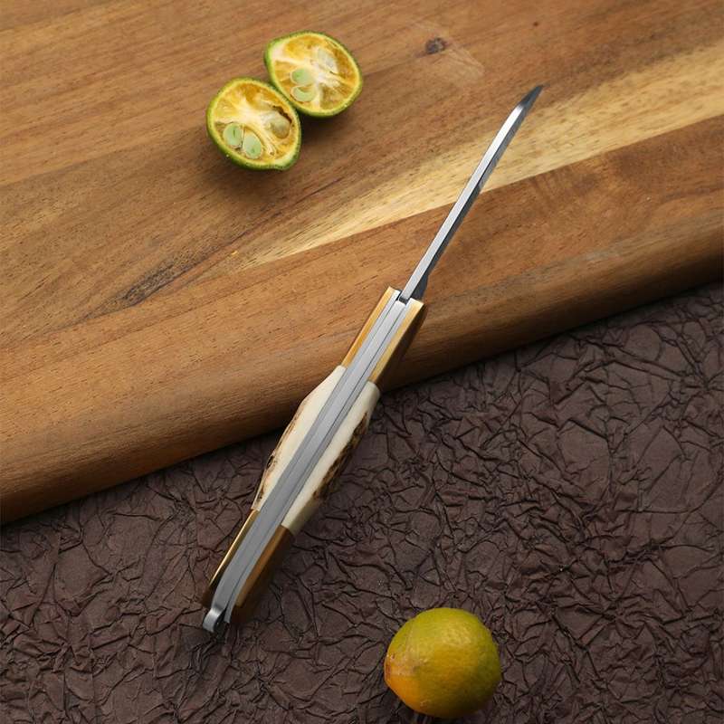 Lifespace Premium 'Hawkbill' Biltong Utility Knife with SS Blade & Antler Handle