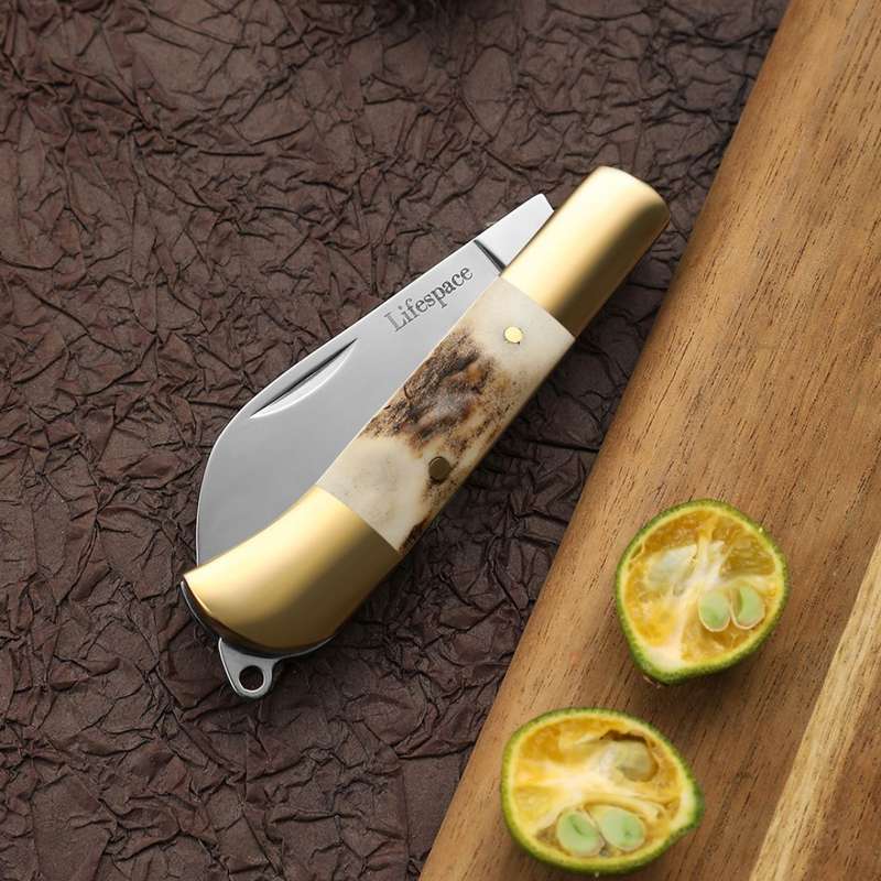Lifespace Premium 'Hawkbill' Biltong Utility Knife with SS Blade & Antler Handle