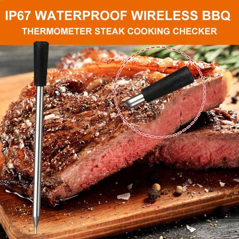 Lifespace Bluetooth Thermometer on Wood Base - Dual Probe