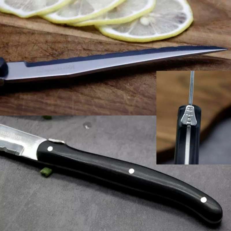 Lifespace 'Laguiole' 4-Piece Steak Knives in a Gift Box