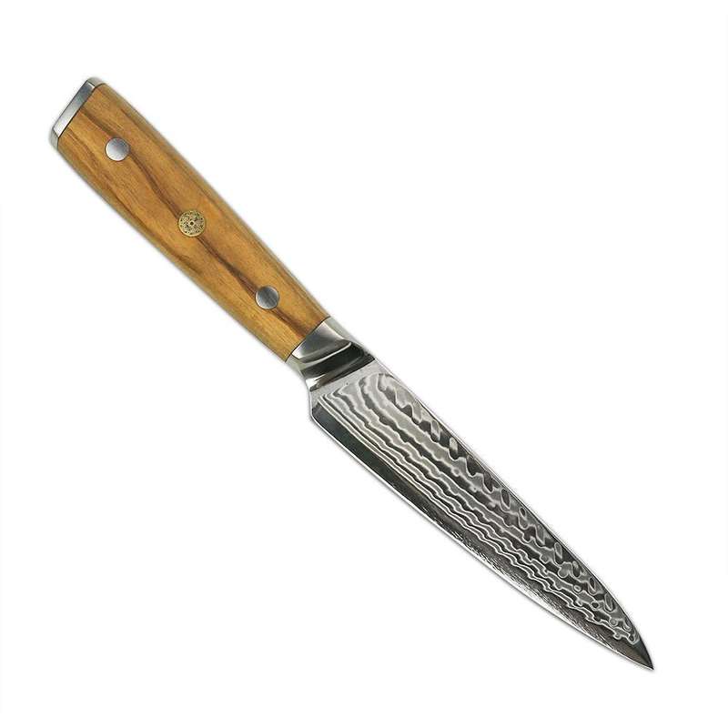 Lifespace Luxury 5" Utility Olive Wood Full Tang Damascus Knife