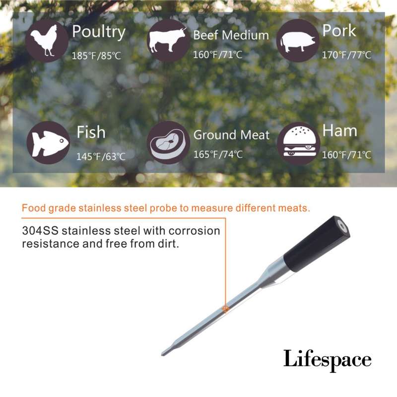 Lifespace Premium Smart Bluetooth Probe Thermometer - 2024 improved model