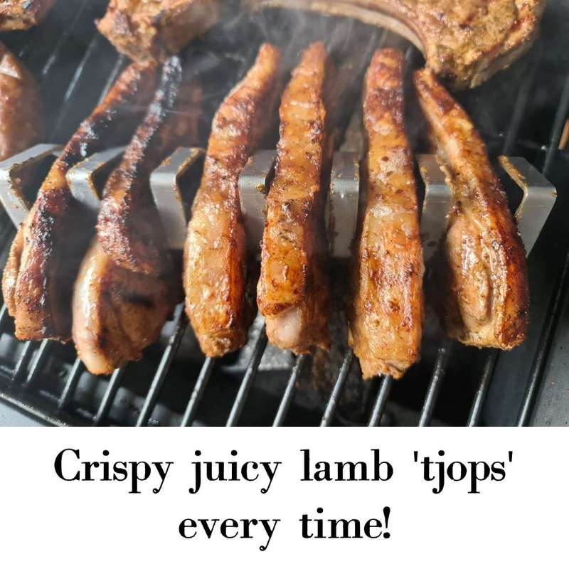Lifespace Premium Stainless Steel Tjop / Chop Rack - 6 Slot (2 pack)
