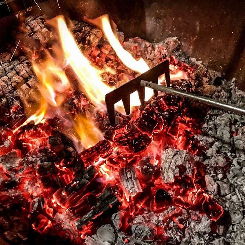 Lifespace Quality Braai or Fireplace Coal Rake