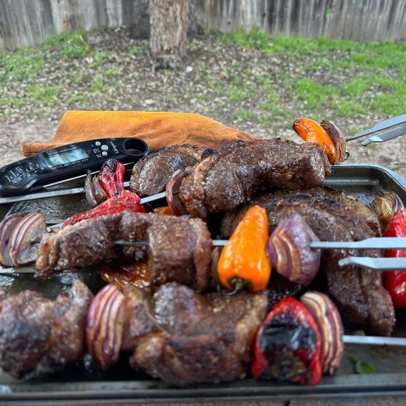 Lifespace Rotisserie Braai Grilling Skewer Set