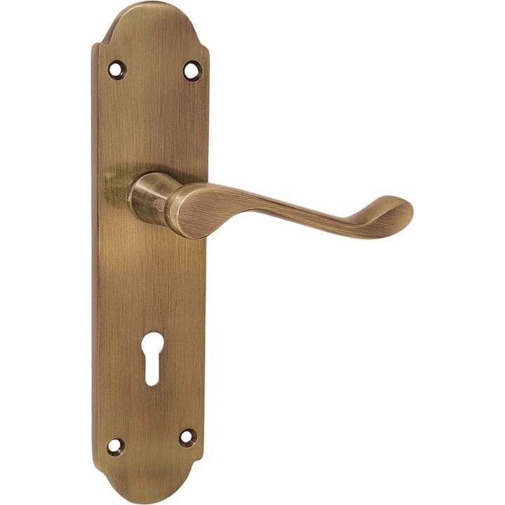 Antique Brass Lever Handle on Back Plate - 195mm x 45mm