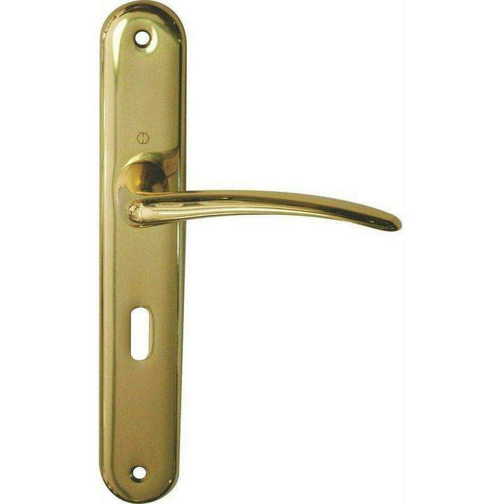 "Istanbul" - classic door handles on back plate