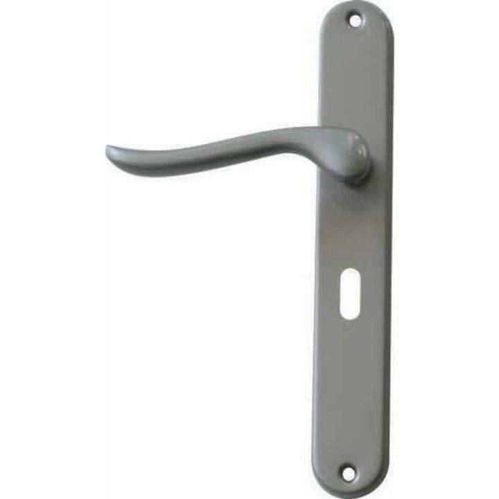 Matt Chrome Classic Door Handles on Back Plate