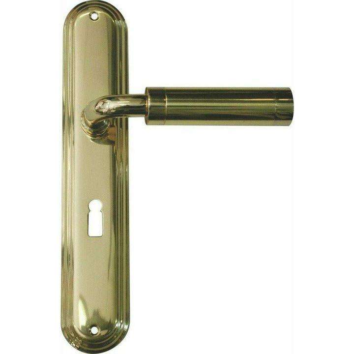 Solid brass designer lever handle on rounded back plate