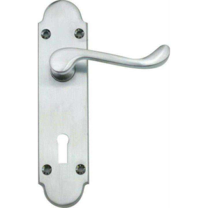 Silver Victorian lever handle on backplate 165mm