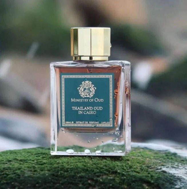 Paris Corner Ministry of Oud Thailand Oud in Cairo 100ml Extrait de Parfum