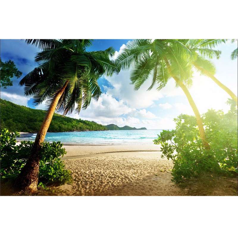Seaside Photography Backdrop