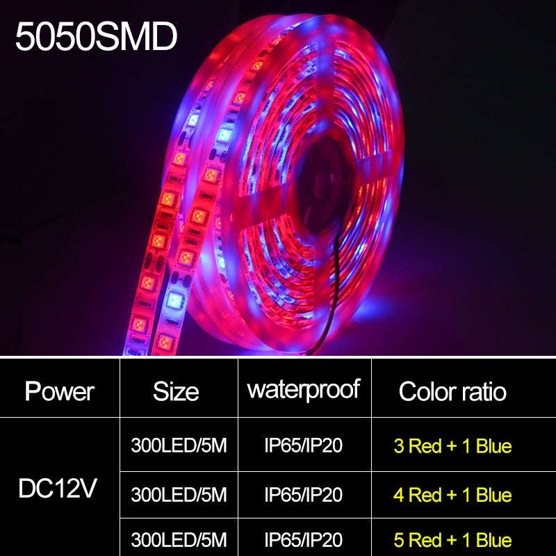 5m 300 LEDs SMD 5050 Full Spectrum LED Strip Light Fitolampy Grow Lights for Greenhouse Hydroponic P