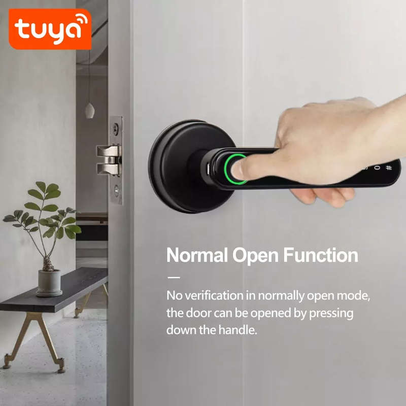 Smart Life Tuya Bluetooth Access Control Fingerprint Keypad Door Handle Lock T8 (Black)