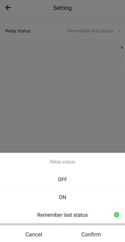 Smart Life Tuya WIFI 1CH DC8-40V 12V 24V 10A Max Active Switch Relay