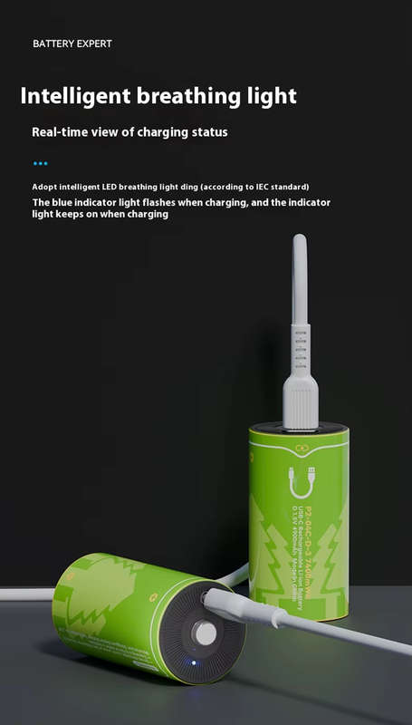 BESTON D Cell USB C Rechargeable Lithium-ion Battery | 1.5V | 4900mAh | 2 Pack