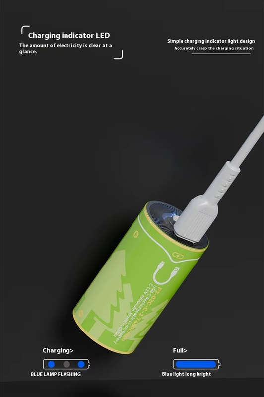 BESTON C Cell USB C Rechargeable Lithium-ion Battery | 1.5V | 4900mAh | 2 Pack