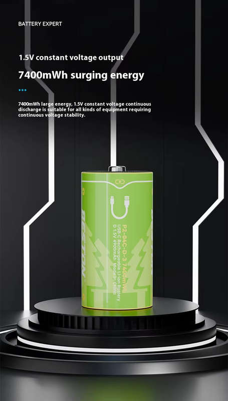 BESTON D Cell USB C Rechargeable Lithium-ion Battery | 1.5V | 4900mAh | 2 Pack
