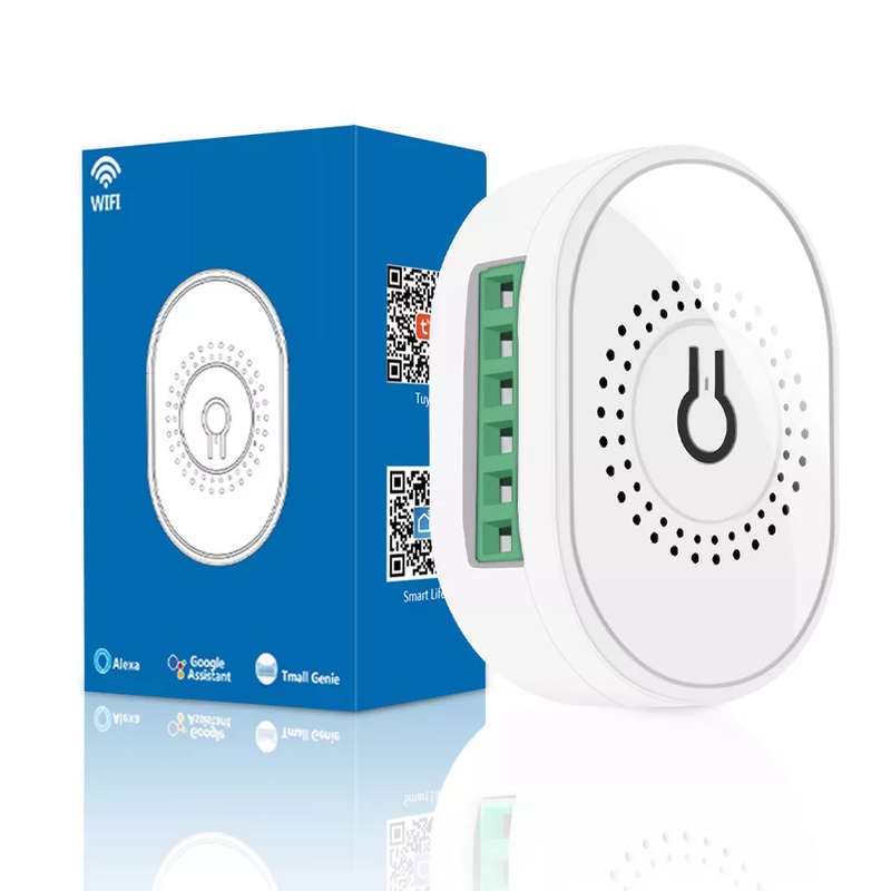 Smart Life Tuya WIFI 2CH 16A 3500W Mini Switch