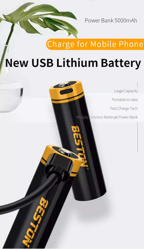 BESTON 21750 USB C Rechargeable Lithium Battery or Power Bank | 3.7V | 5000mAh | 1 Pack