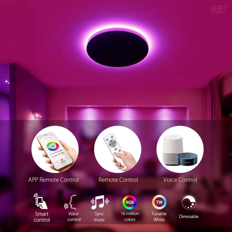 WIFI Control Smart Life Tuya LED Ceiling Light 24W CCT + 10W RGB