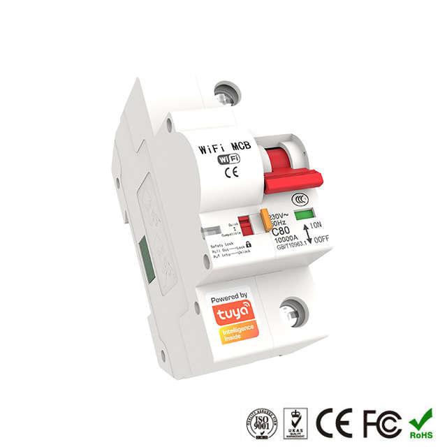 WIFI Control Smart Life Tuya 1P 63A 13800W MCB Switch Circuit Breaker