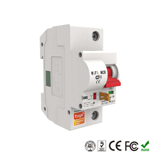 WIFI Control Smart Life Tuya 1P 63A 13800W MCB Switch Circuit Breaker