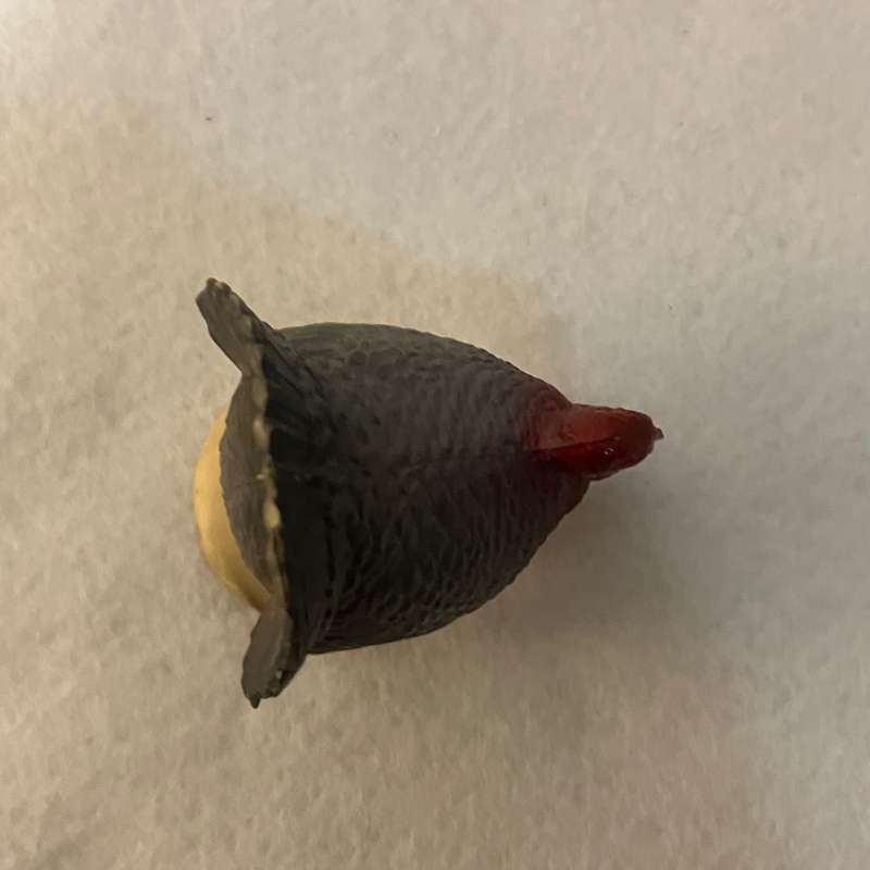 Turkey (Miniature, suitable for printer's tray)