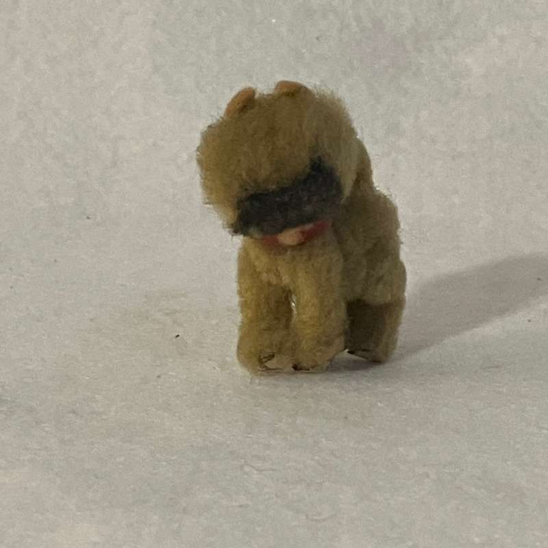 Fluffy Dog Adorable (Miniature, suitable for printer's tray)