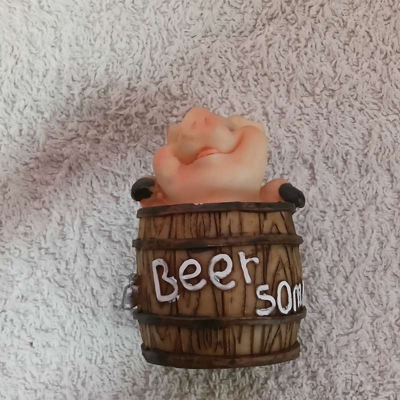 Pig in Bucket