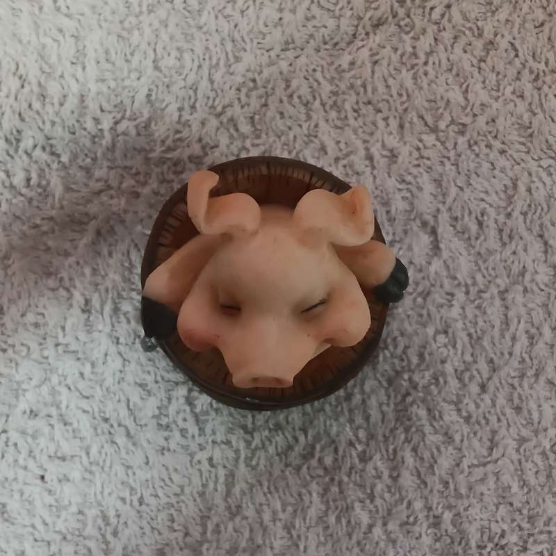 Pig in Bucket