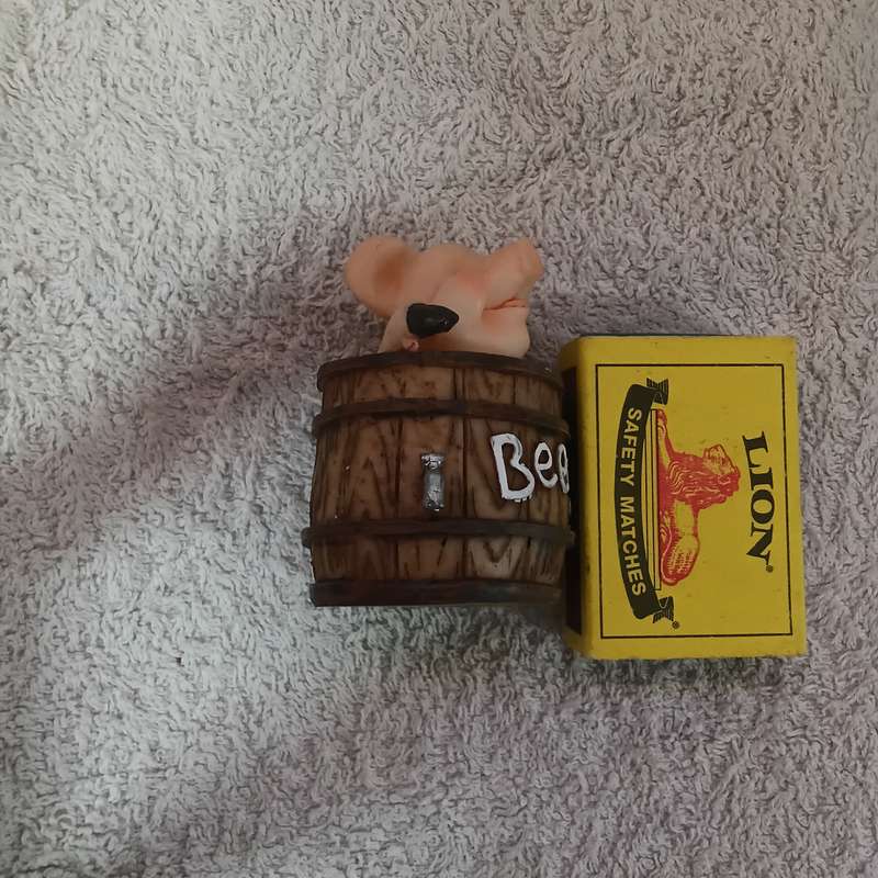Pig in Bucket