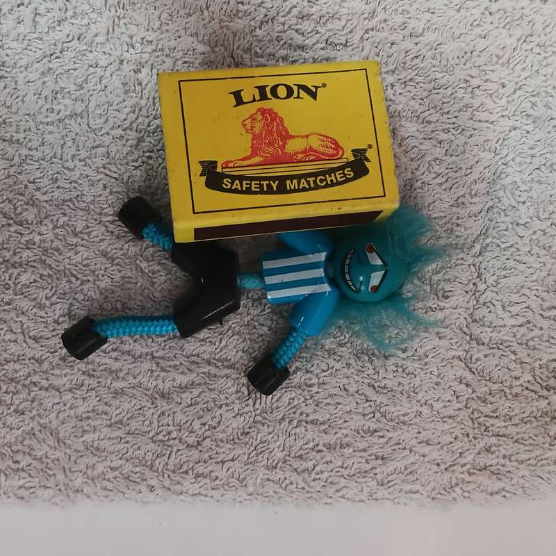 Toy