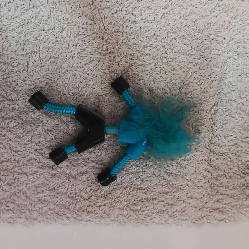 Toy