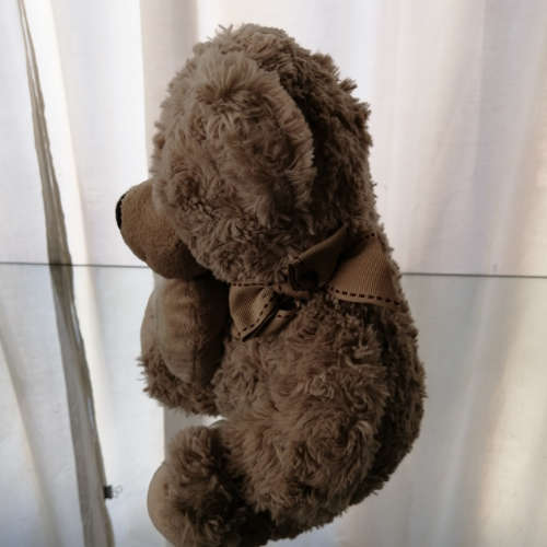 Teddy Bear with Heart