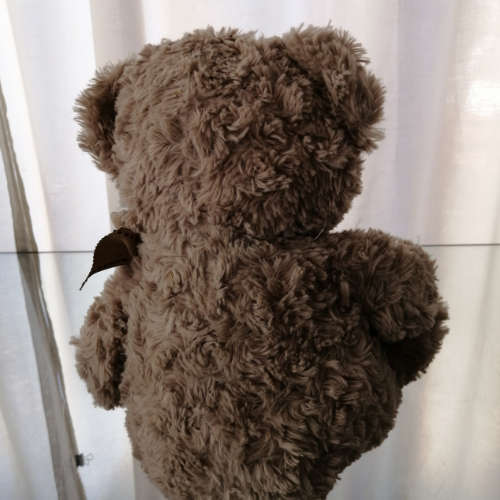 Teddy Bear with Heart