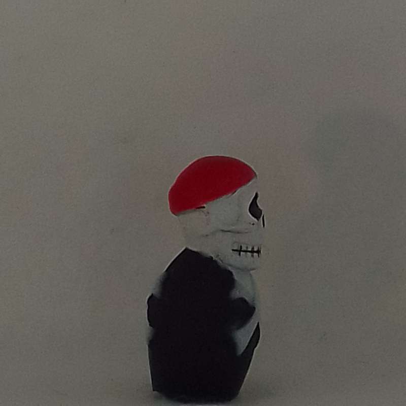 FInger Puppet Jolly Roger Pirate