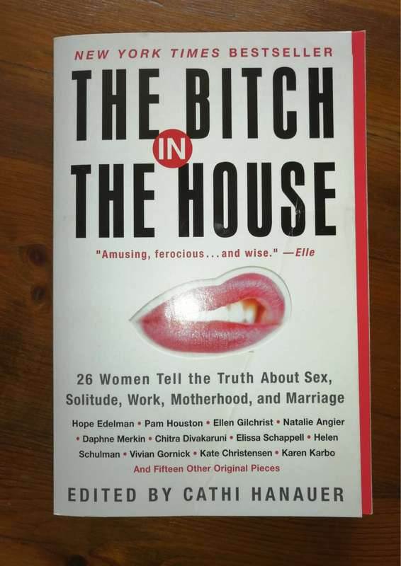 Bitch in the House (Cathi Hanauer)