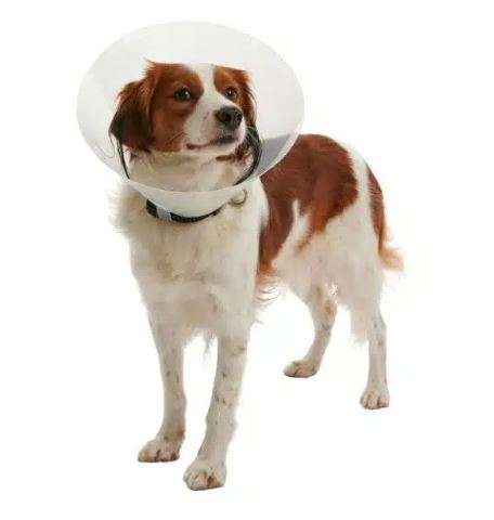 Buster Protective Clic Collar - 15cm