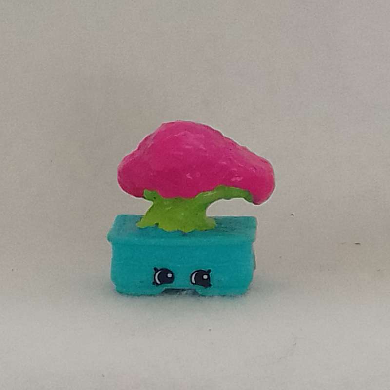 Shopkins (Collectable)