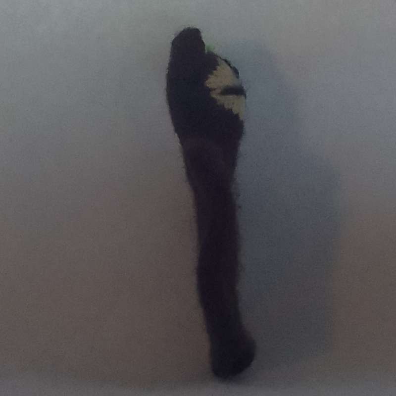 Finger Puppet Bear
