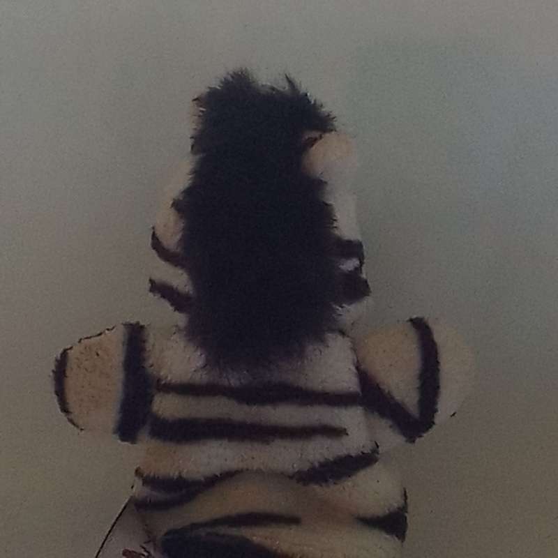 Finger Puppet Zebra