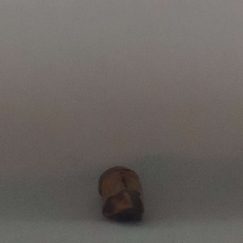 Animal Hoof Keyring