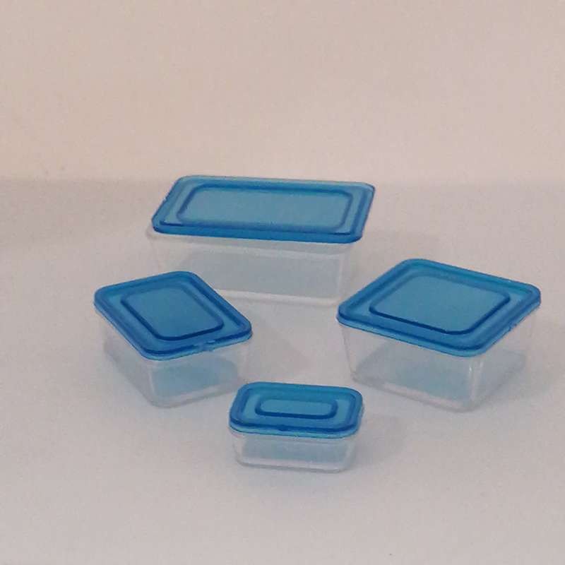 Plastic "Tupperware" Set (Miniature, suitable for Printer's Tray)